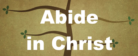 Abide In Christ Image