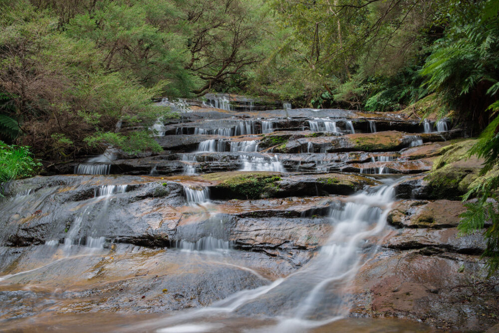 Streams of Living Water Image